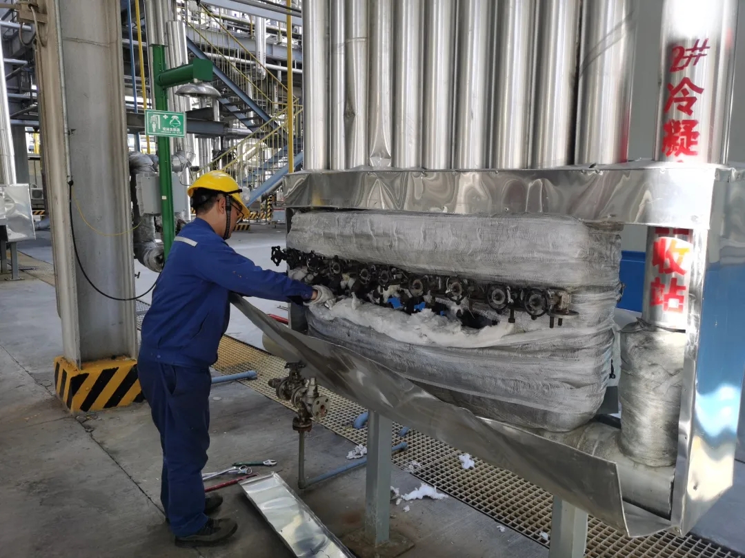 6180fbb41b8cc.jpg 640.webp (17).jpg