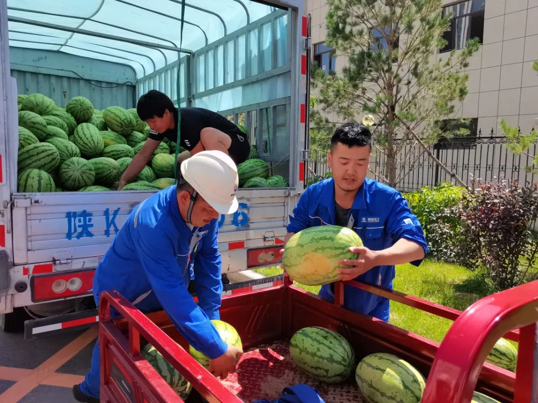 62eb7a1b7641b.jpg 640 (10).jpg